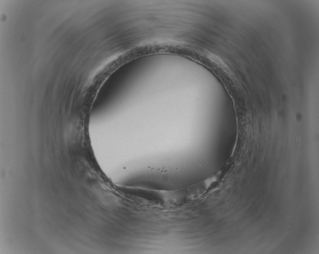 X0000067390872200604131929