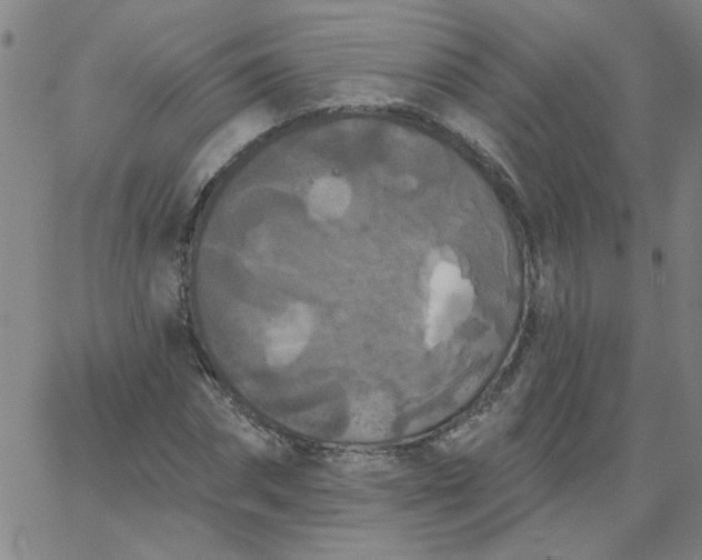 X0000067390874200604131929