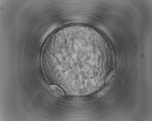 X0000067390875200604131929