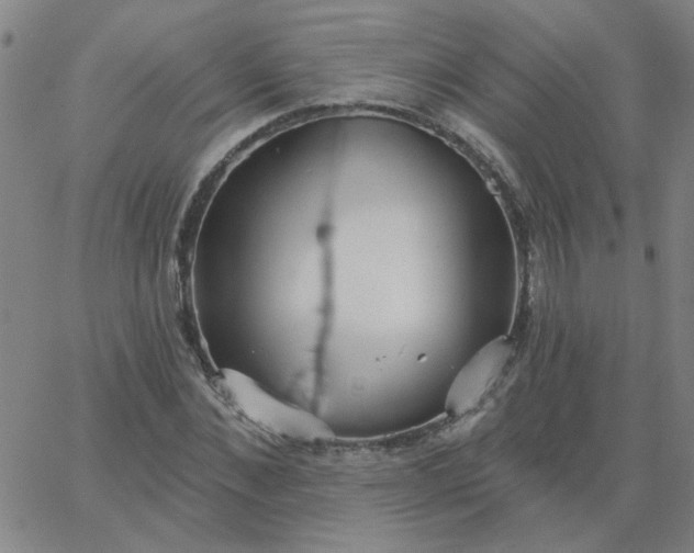 X0000067390876200604131929