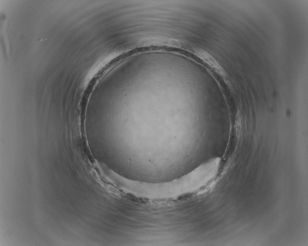 X0000067390877200604131929