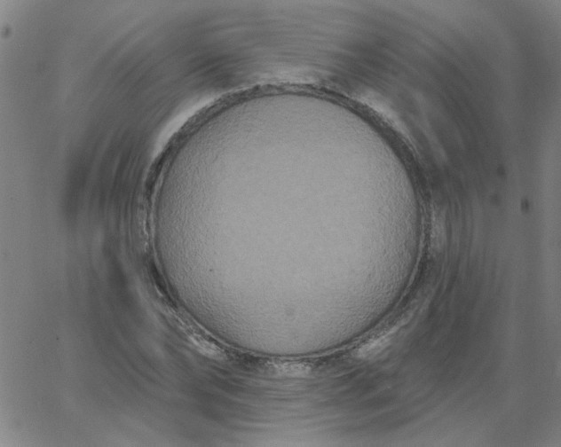 X0000067390878200604131929