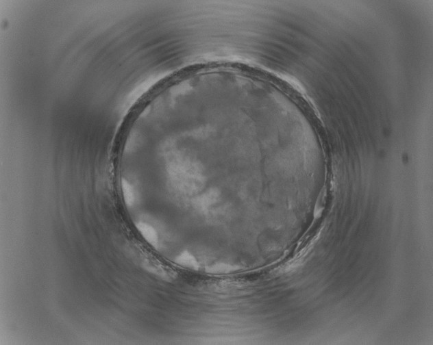 X0000067390879200604131929