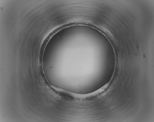 X0000067390880200604131929