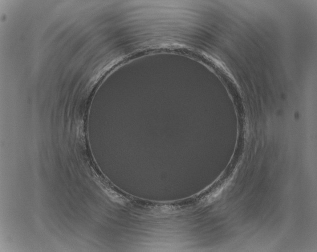 X0000067390881200604131929