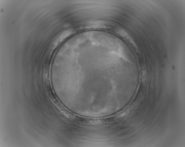 X0000067390882200604131929