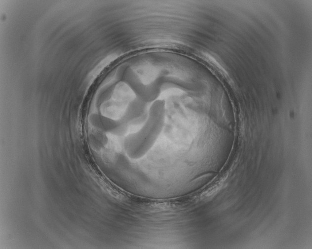 X0000067390883200604131929