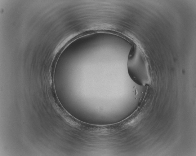 X0000067390885200604131929