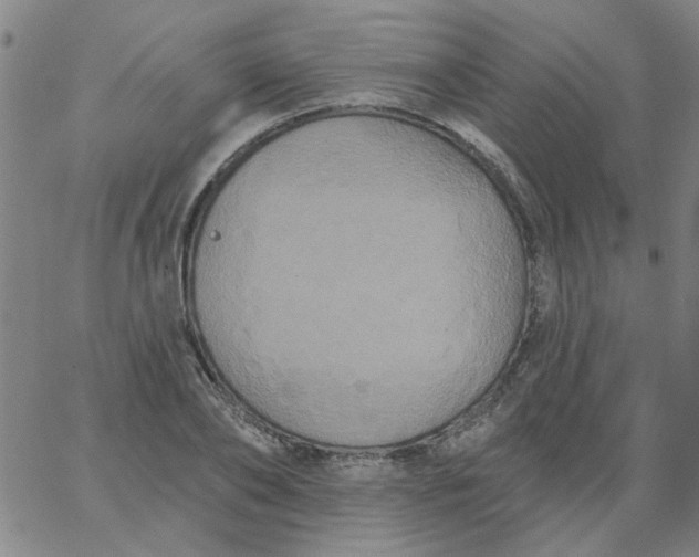 X0000067390886200604131929