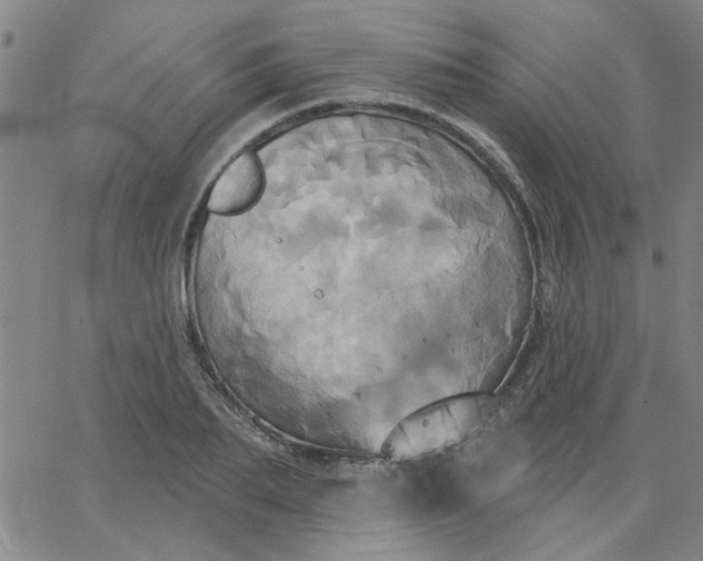 X0000067390887200604131929