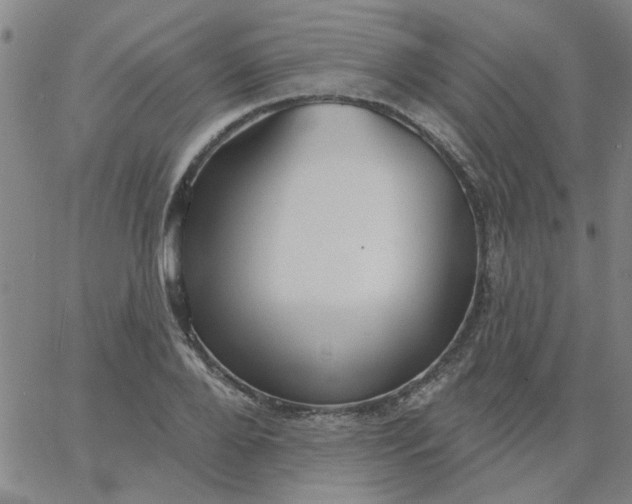 X0000067390888200604131929