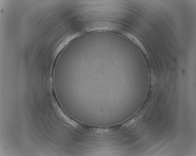 X0000067390890200604131929