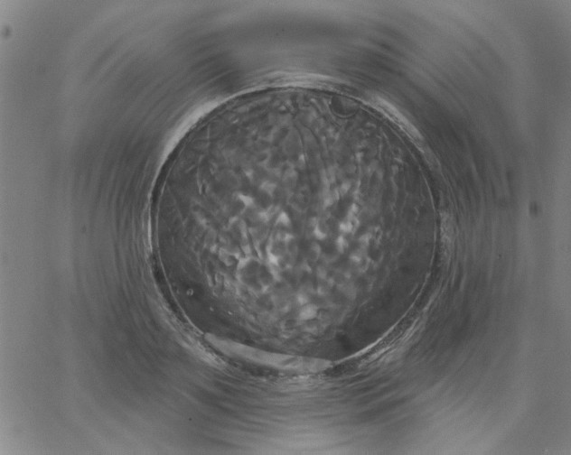 X0000067390891200604131929