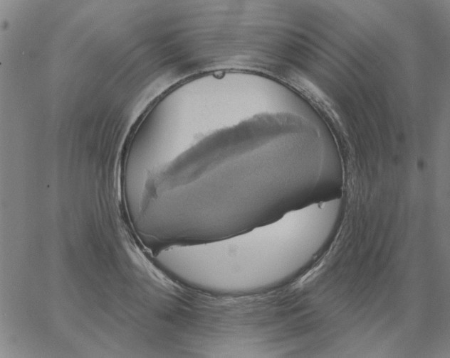 X0000067390892200604131929