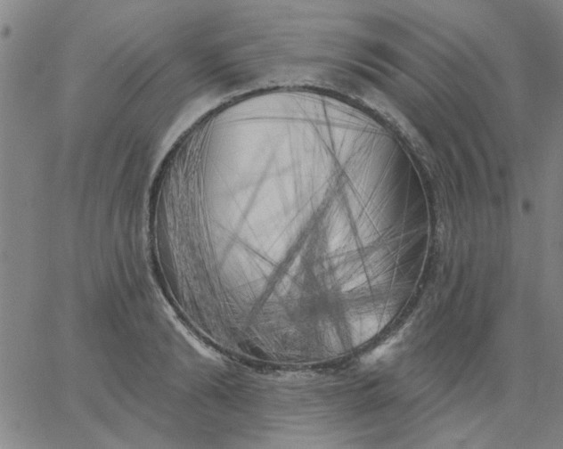 X0000067390894200604131929