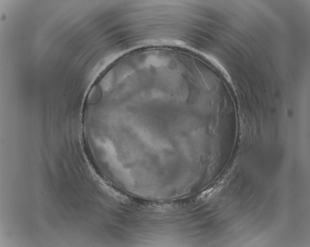 X0000067390895200604131929