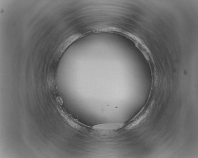 X0000067390897200604131929