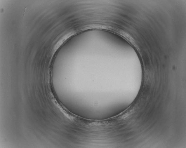 X0000067390898200604131929