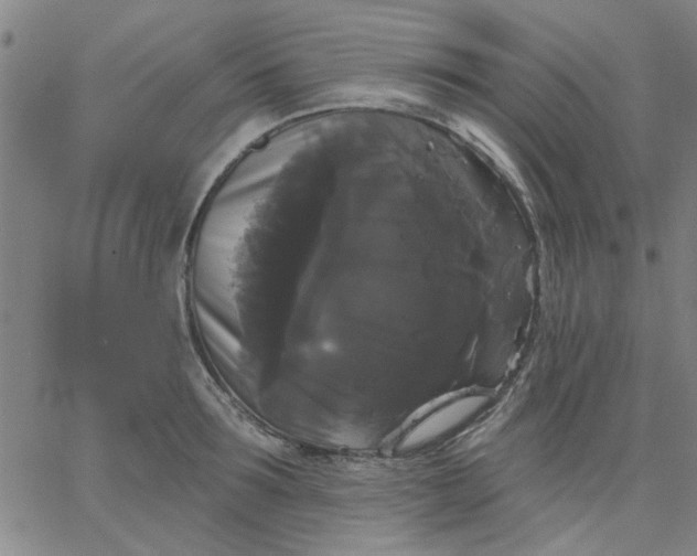 X0000067390899200604131929