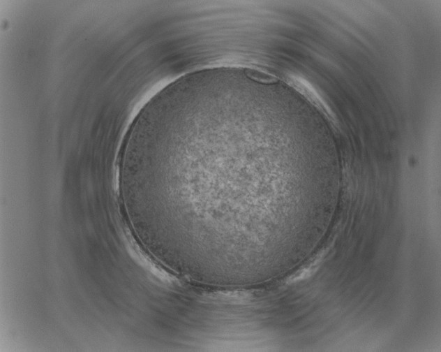 X0000067390900200604131929