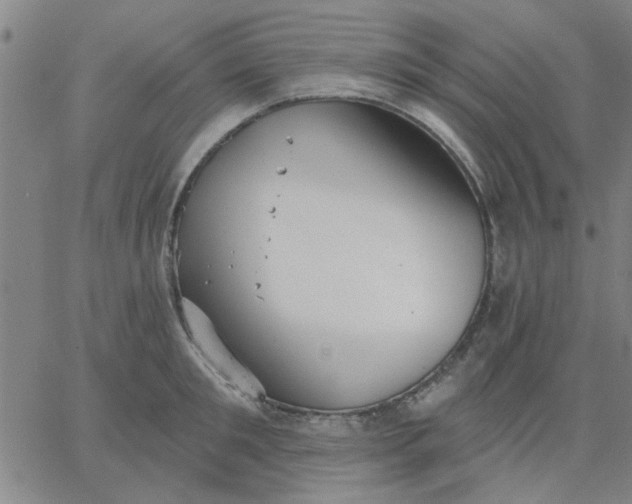 X0000067390901200604131929