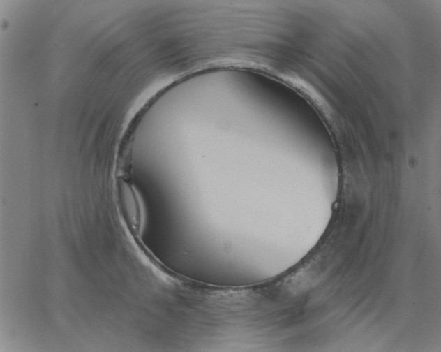 X0000067390902200604131929