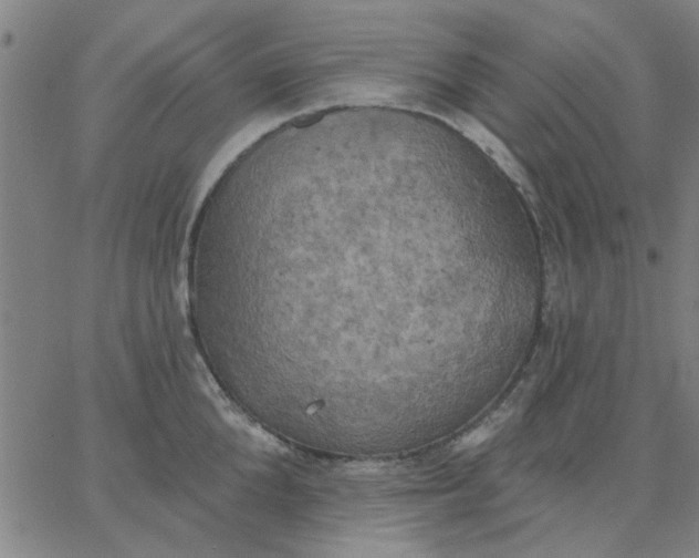 X0000067390904200604131928