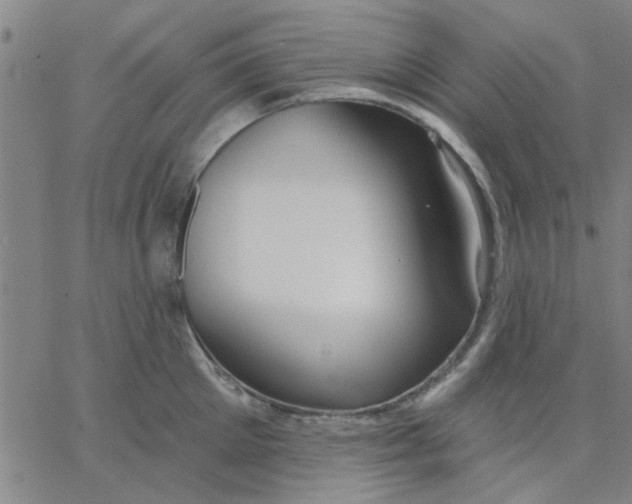 X0000067390905200604131928