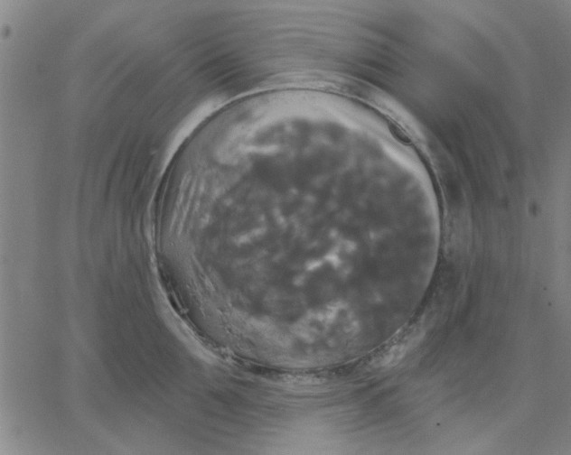 X0000067390907200604131928