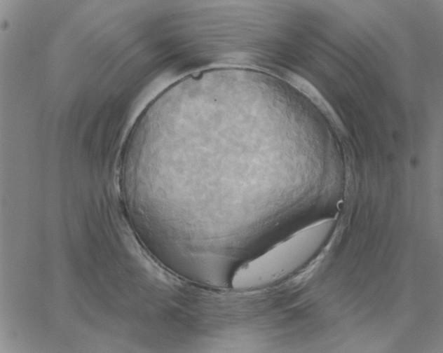 X0000067390908200604131928