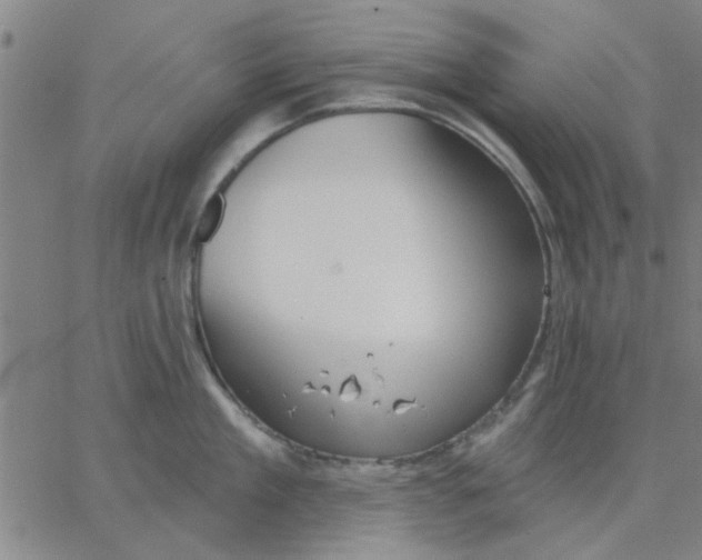 X0000067390909200604131928