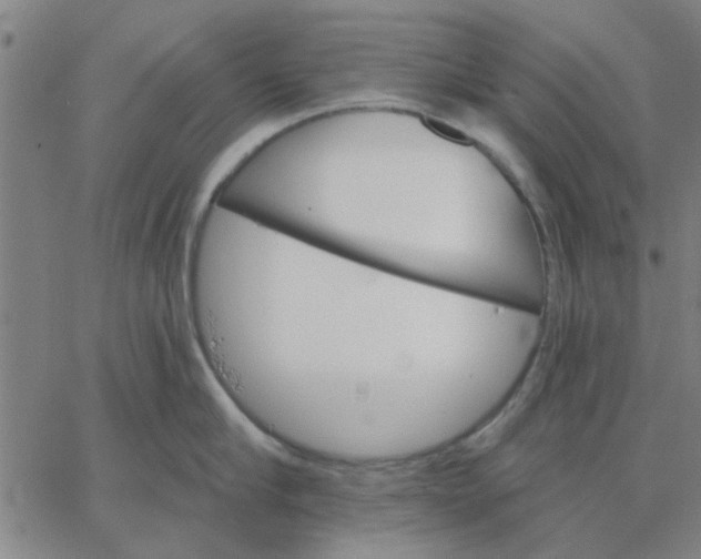 X0000067390910200604131928