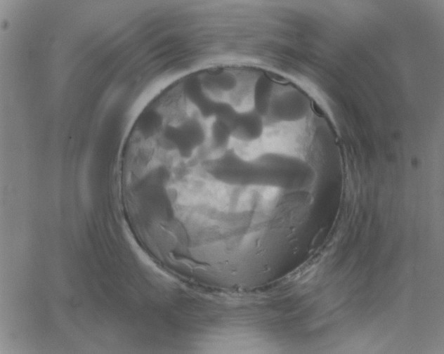 X0000067390911200604131928