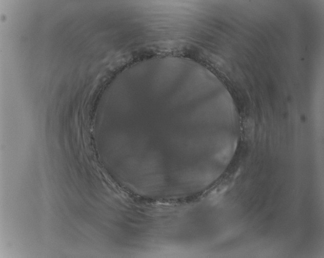 X0000067390913200604131928