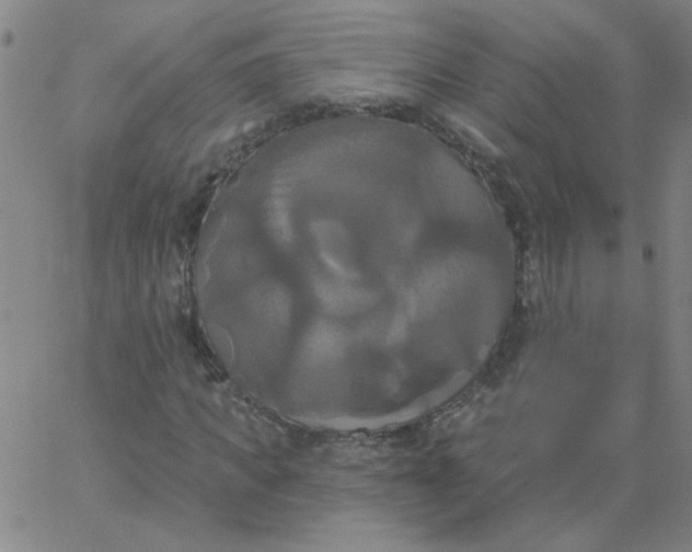 X0000067390917200604131928