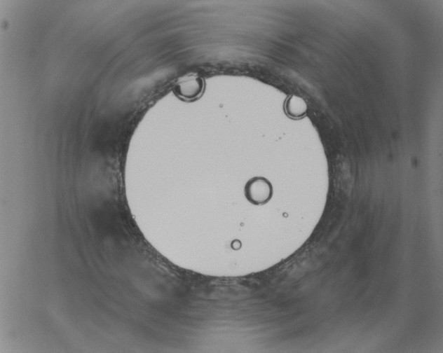 X0000067390918200604131928