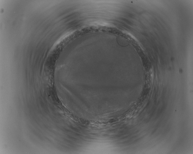 X0000067390919200604131928