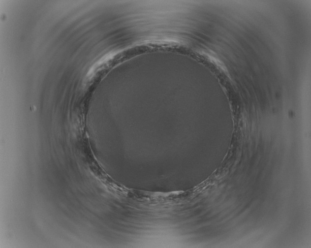 X0000067390920200604131928