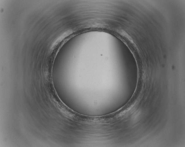 X0000067390922200604131928