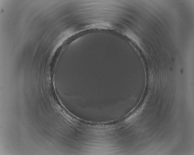 X0000067390923200604131928