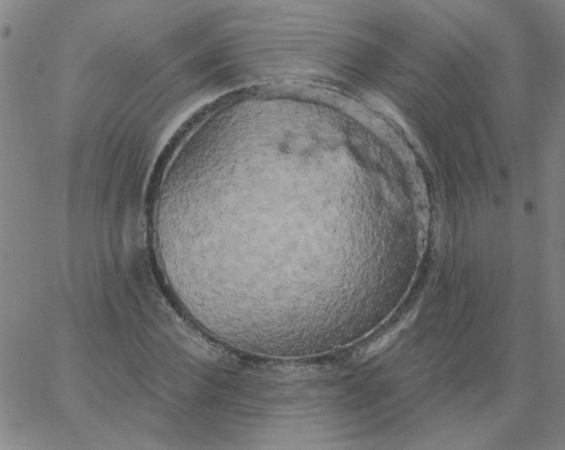 X0000067390924200604131928