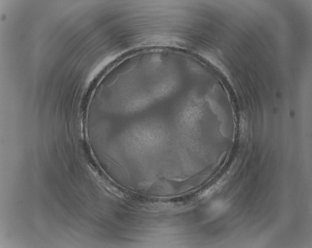 X0000067390925200604131928