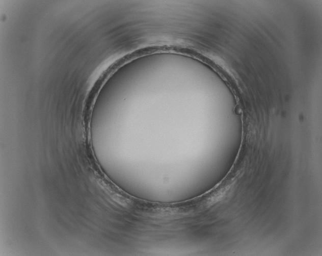 X0000067390927200604131928