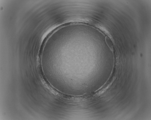 X0000067390928200604131928