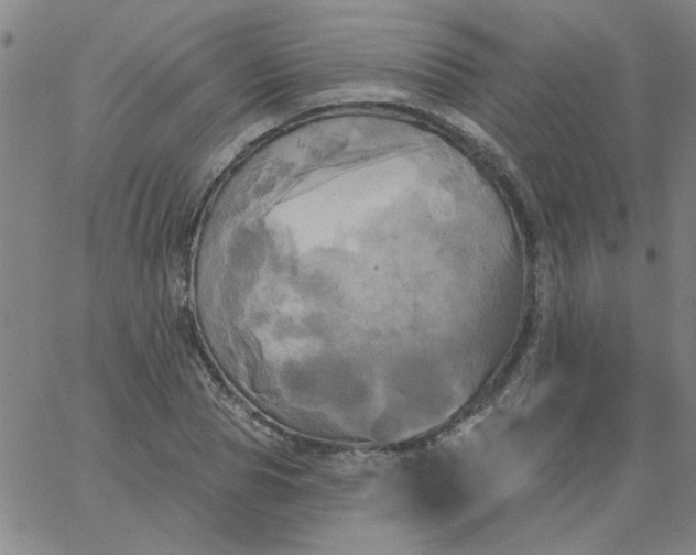 X0000067390929200604131928