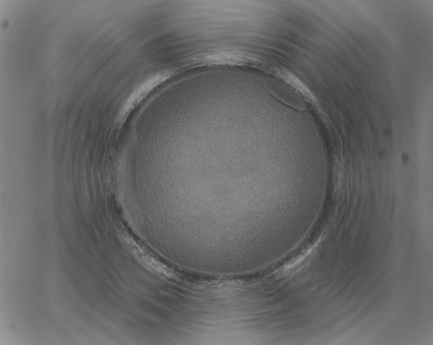 X0000067390930200604131928