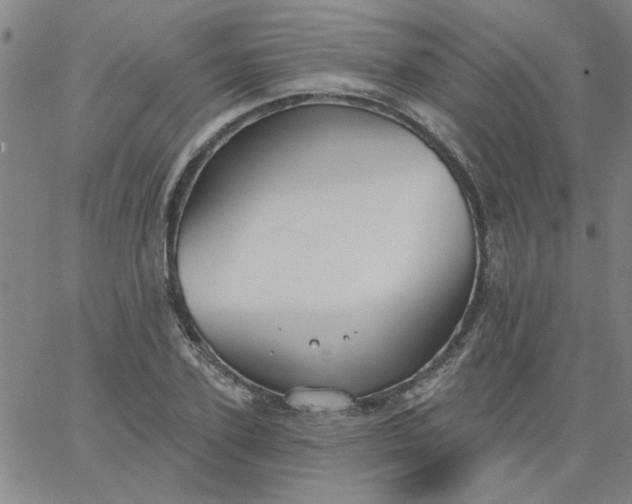 X0000067390931200604131928