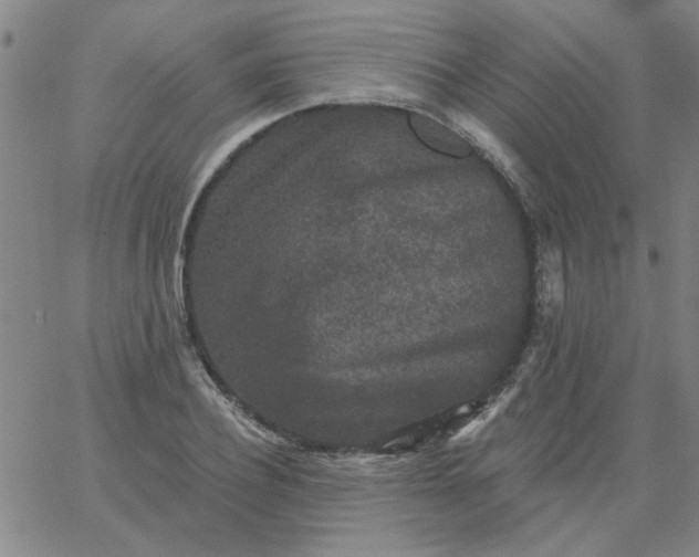 X0000067390932200604131928