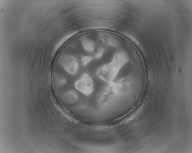 X0000067390933200604131928