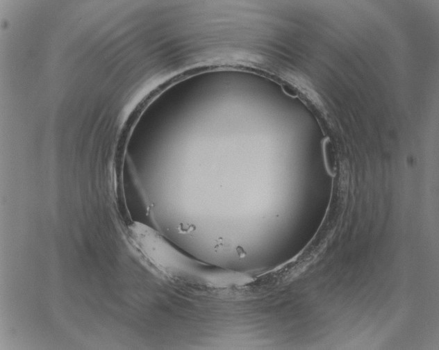 X0000067390936200604131928